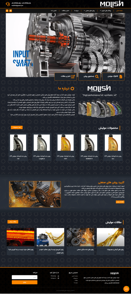 نمونه کار طراحی سایت مولیش